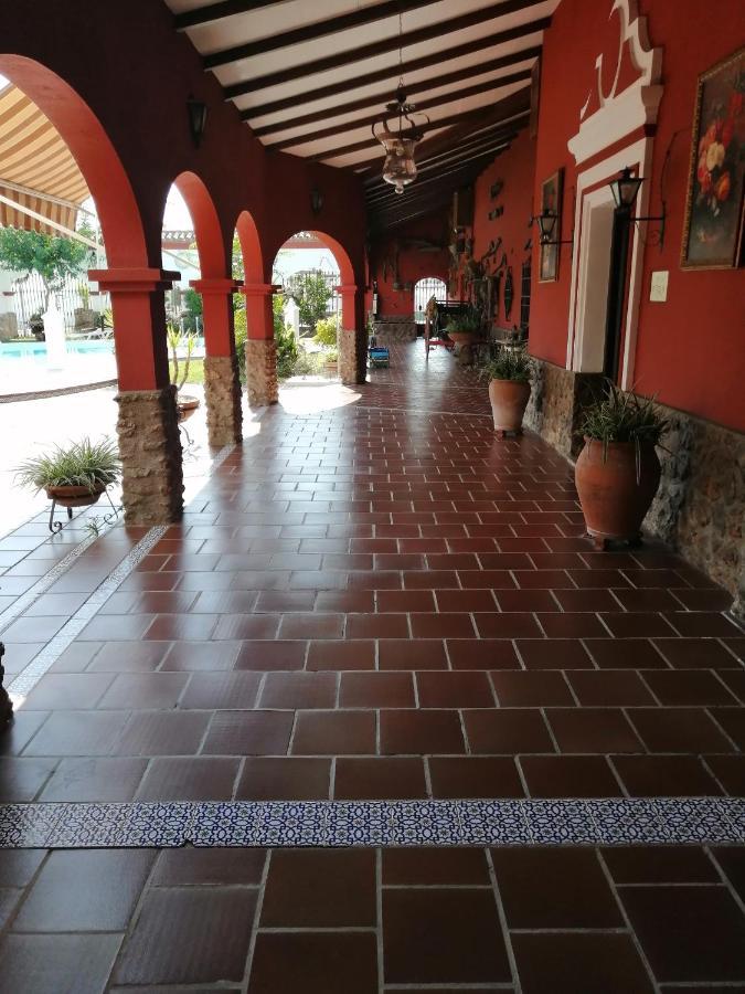 Casa D Mis Dos Gitanillas Cordoue Extérieur photo